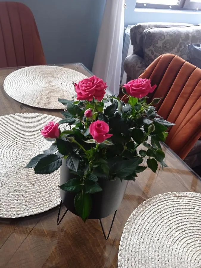 Mila Vip Apartment Bansko